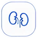 icon Kidney Screening