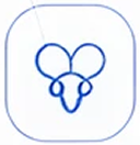 icon Prostate Screening