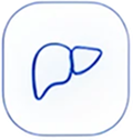icon Liver Health