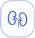 icon Kidney Health