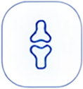 icon Osteoporosis